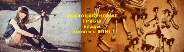 соль ск Остров