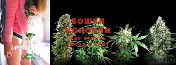 соль ск Остров