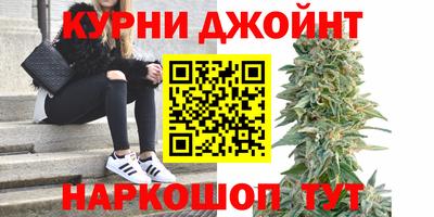 стаф Кохма
