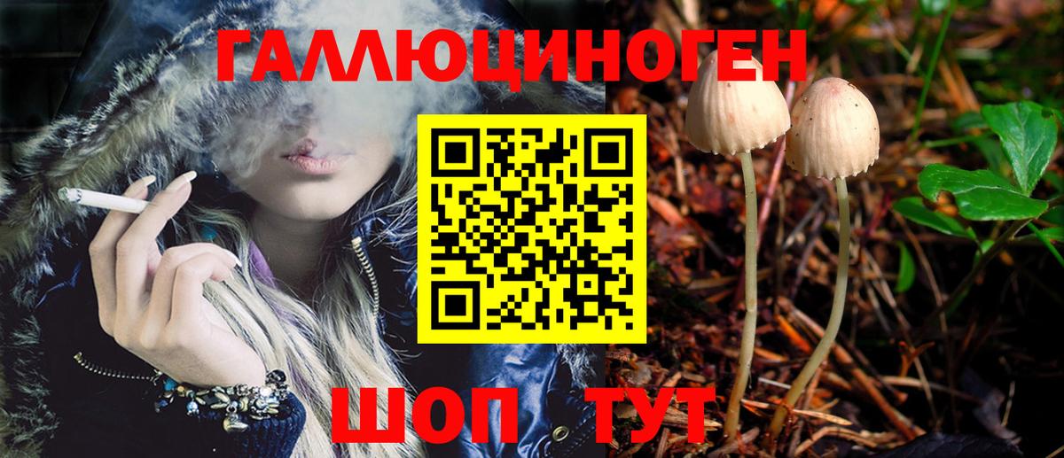 Псилоцибиновые грибы Cubensis  Вход с VPN  Моршанск 