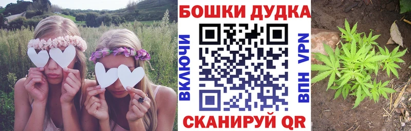Шишки марихуана White Widow  mega ССЫЛКА  shop Telegram  Моршанск 